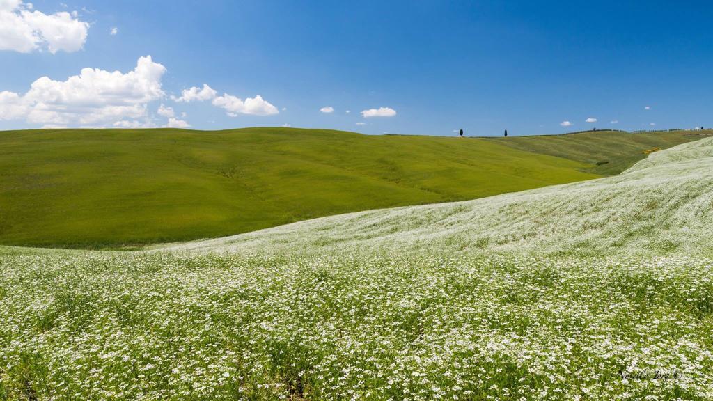 Antica Locanda Pienza Eksteriør billede