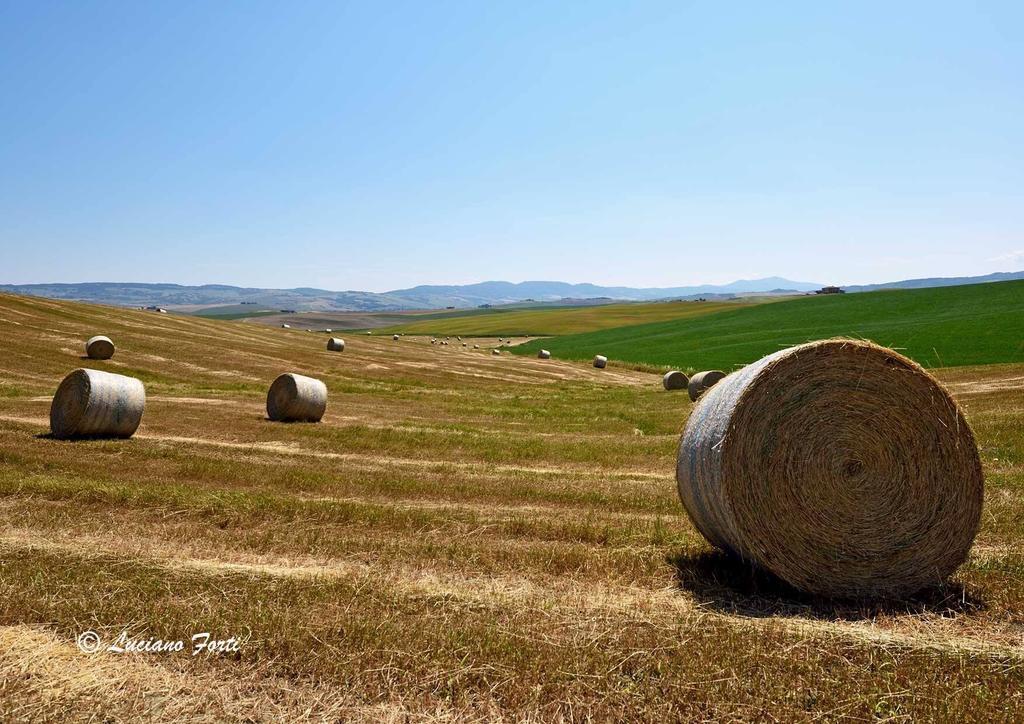Antica Locanda Pienza Eksteriør billede